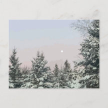 Snow Covered Pine Trees Moon Sunset