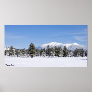 Snow Covered Pines & San Francisco Peaks Arizona Poster