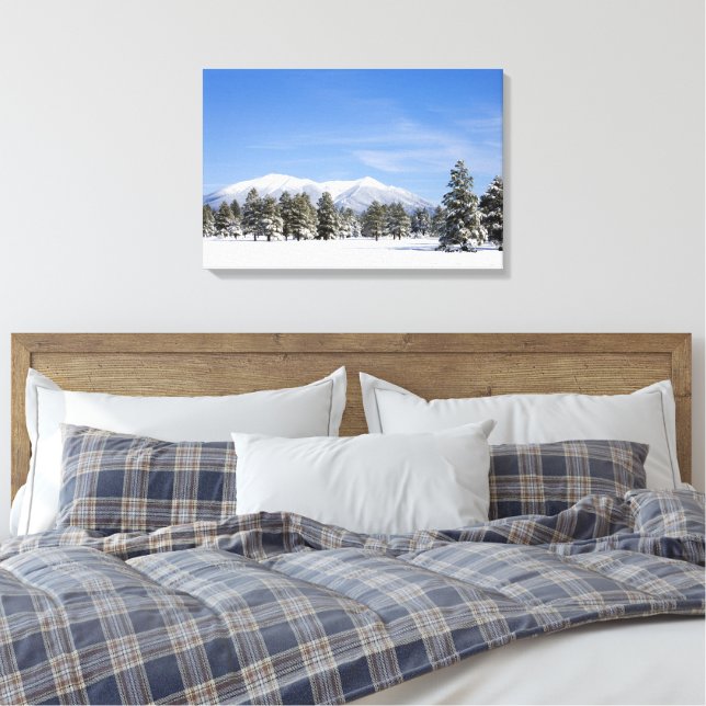 Snow Covered Prairie Pines and San Francisco Peaks Canvas Print (Insitu(Bedroom))