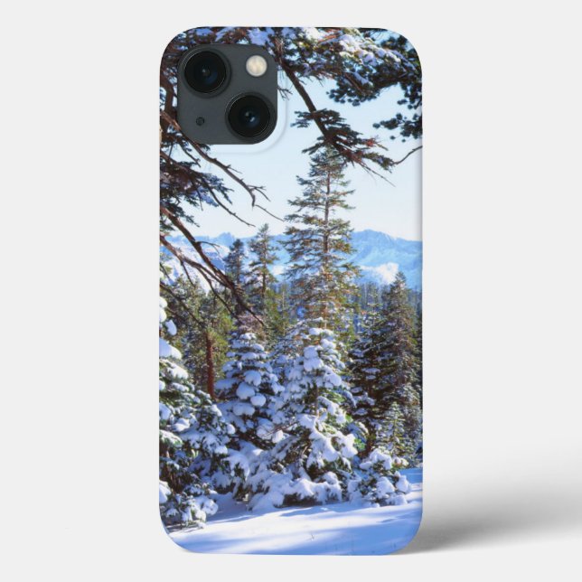 Snow-covered Red Fir trees in the High Sierra 2 Case-Mate iPhone Case (Back)