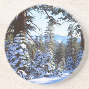 Snow-covered Red Fir trees in the High Sierra 2 Coaster