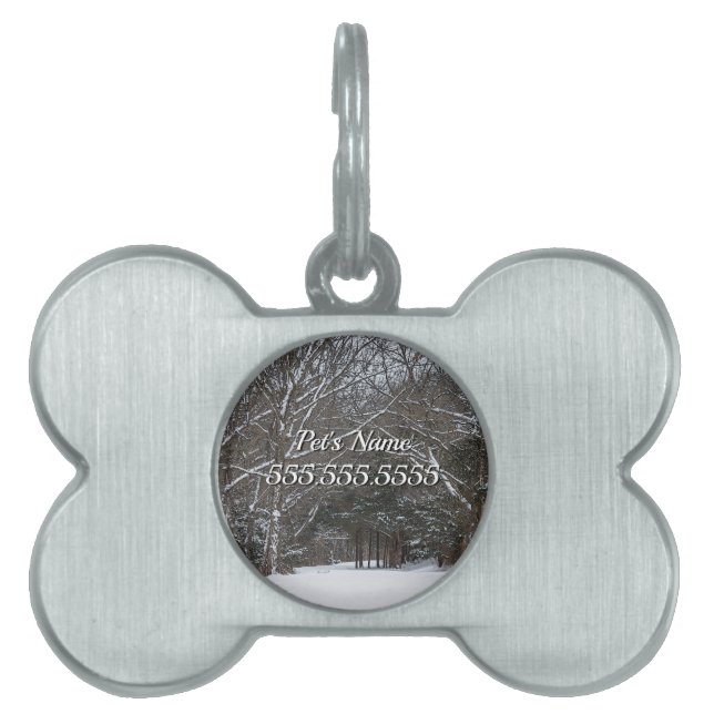 Snow Covered Road Painterly Pet ID Tag (Front)
