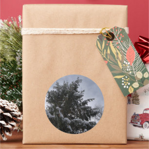 Snow Covered Spruce Tree Classic Round Sticker