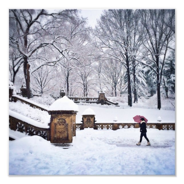 Snow-Covered Stairs In Central Park Photo Print (Front)