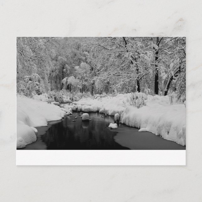 Snow covered stream postcard (Front)
