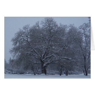Snow covered tree