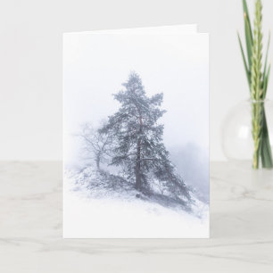 Snow-covered Tree Photo Card