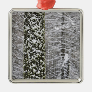 Snow covered tree trunks in Yosemite valley - Metal Tree Decoration