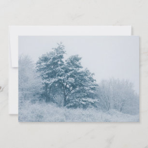 Snow-covered Tree Winter Nature Photo Card