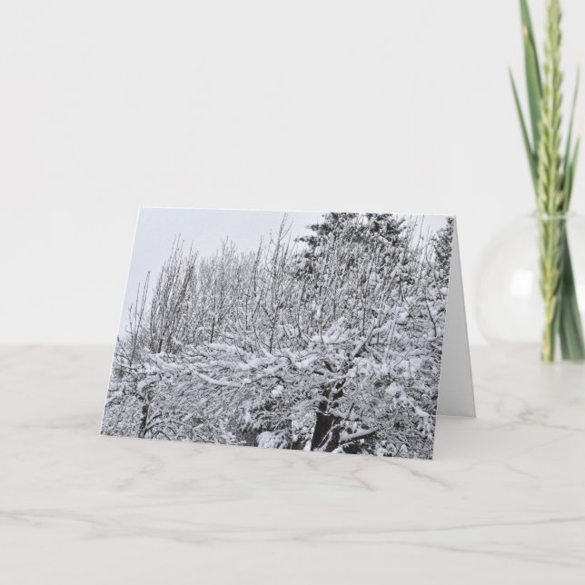 Snow Covered Trees Card (Front)