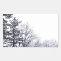 Snow-covered Trees: Horizontal