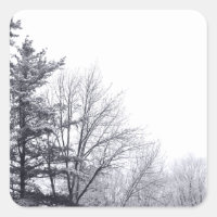 Snow-covered Trees: Horizontal