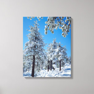 Snow-covered trees in the Laguna Mountains Canvas Print