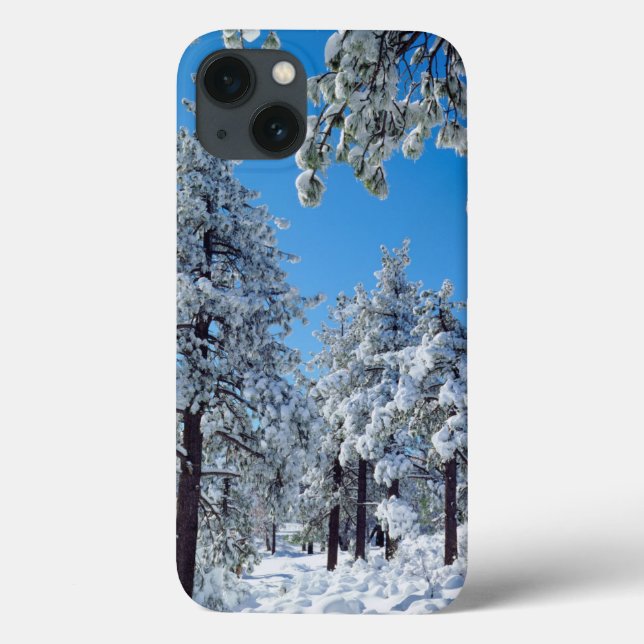 Snow-covered trees in the Laguna Mountains Case-Mate iPhone Case (Back)
