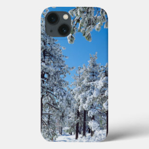 Snow-covered trees in the Laguna Mountains iPhone 13 Case
