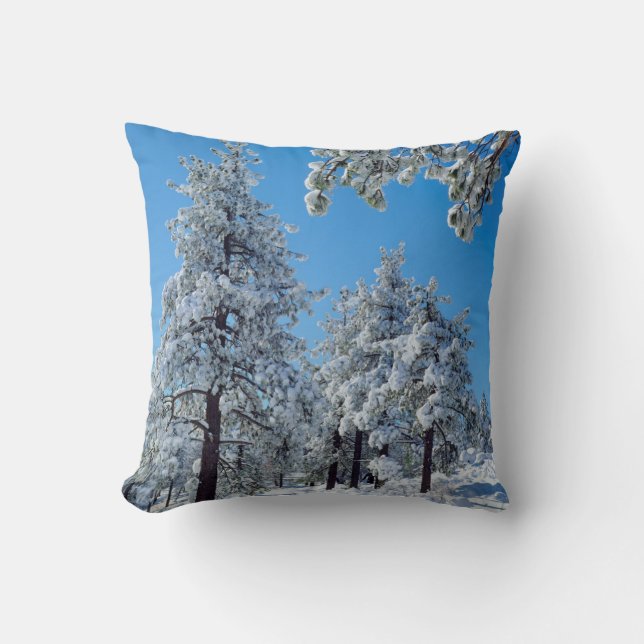 Snow-covered trees in the Laguna Mountains Cushion (Front)