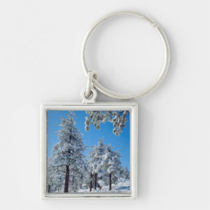 Snow-covered trees in the Laguna Mountains Key Ring