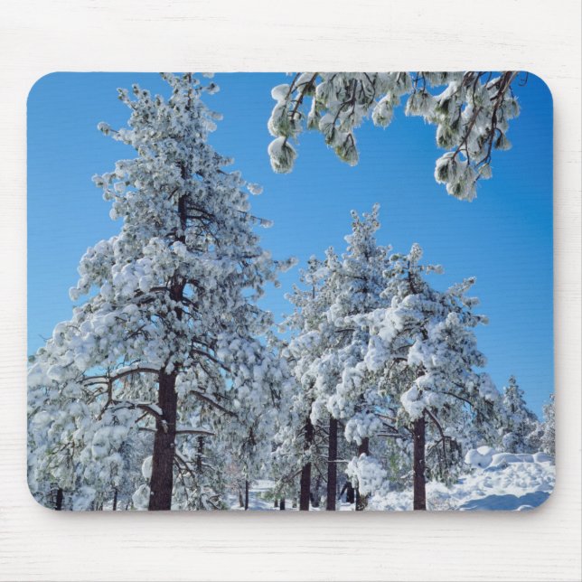 Snow-covered trees in the Laguna Mountains Mouse Pad (Front)