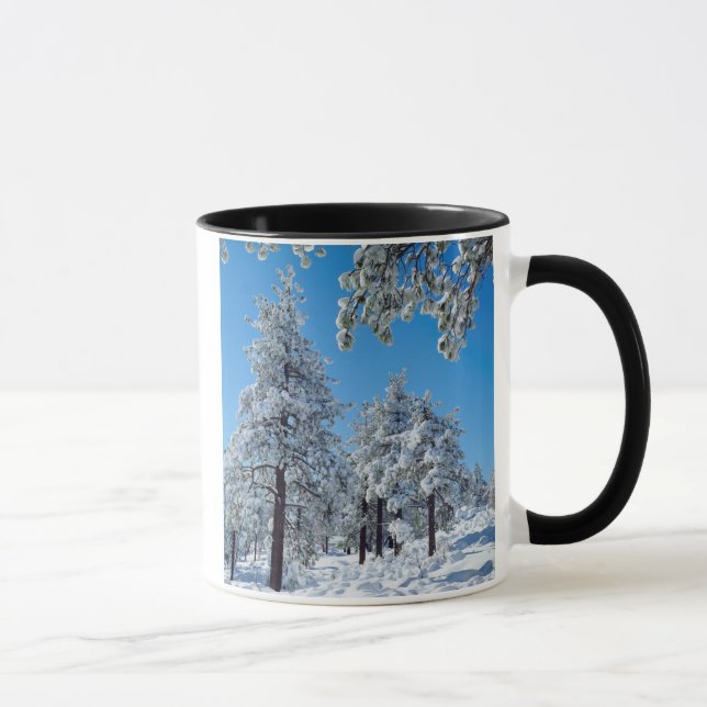 Snow-covered trees in the Laguna Mountains Mug (Right)