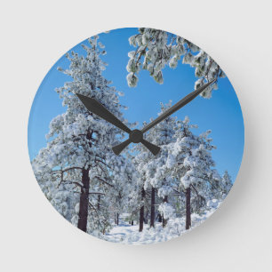 Snow-covered trees in the Laguna Mountains Round Clock