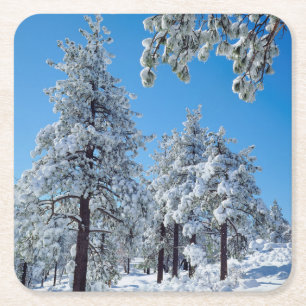 Snow-covered trees in the Laguna Mountains Square Paper Coaster