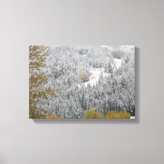 Snow Covered Trees in Whistler, B.C. Canvas Print (Front)
