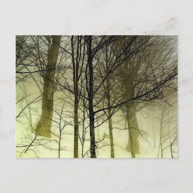 Snow Covered Trees Postcard (Front)