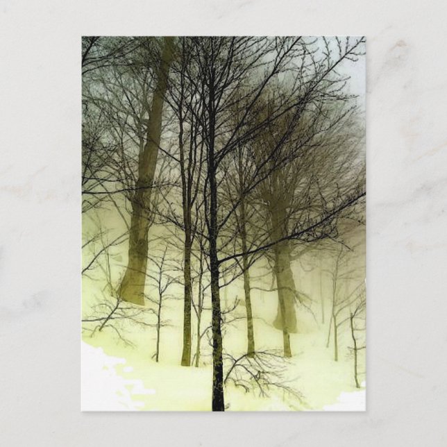 Snow Covered Trees Postcard (Front)