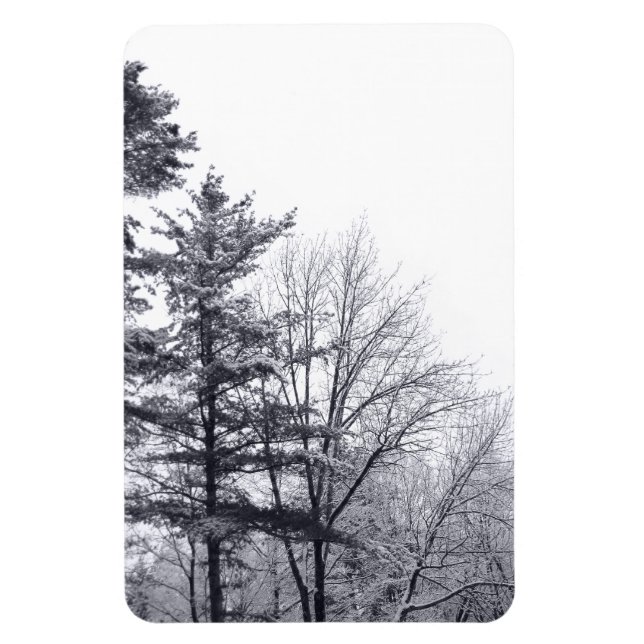 Snow-covered Trees: Vertical Magnet (Vertical)