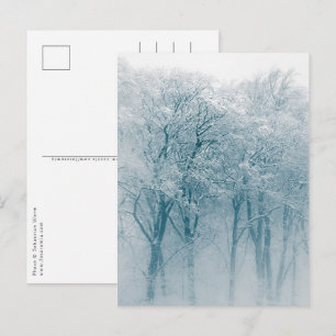 Snow-covered Trees Winter Nature Photo Postcard