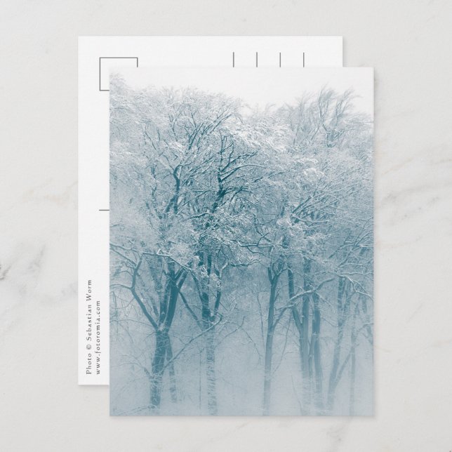 Snow-covered Trees Winter Nature Photo Postcard (Front/Back)