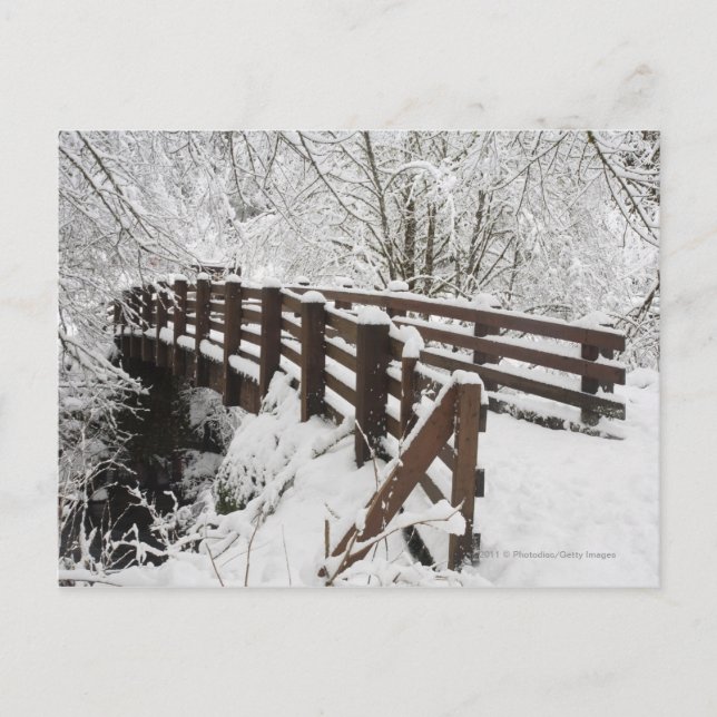 Snow Covered Wooden Bridge Postcard (Front)