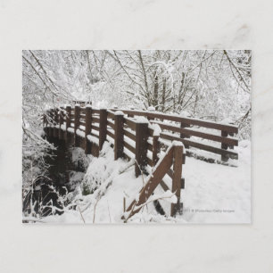 Snow Covered Wooden Bridge Postcard