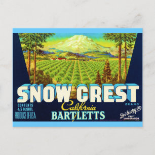 Snow Crest Postcard