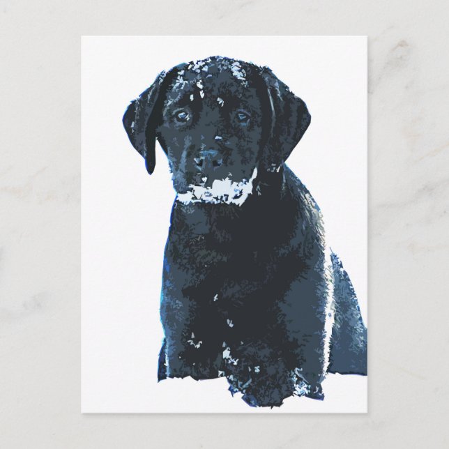 Snow Crystals - Snow Labrador - Black Lab Puppy Postcard (Front)