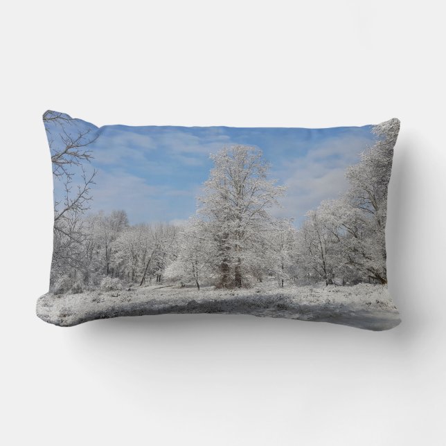 Snow Day Lumbar Cushion (Front)