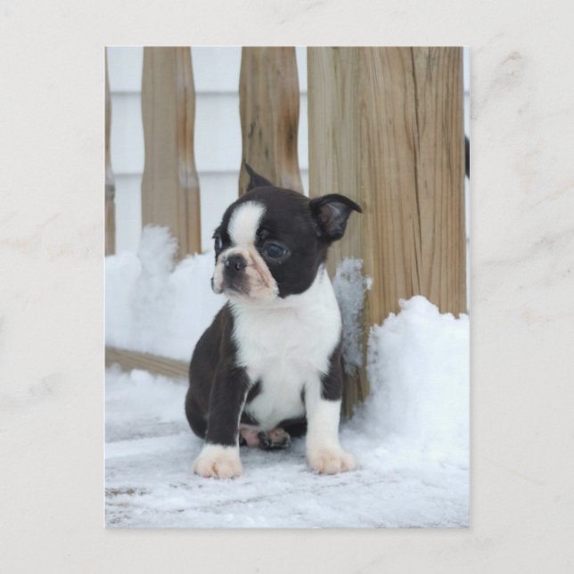 Snow Day Postcard (Front)