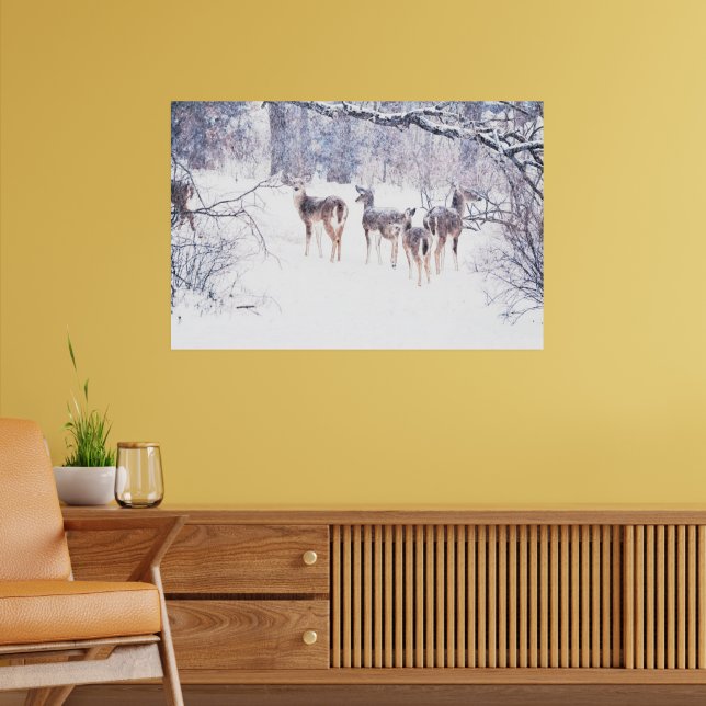 Snow Deer in Texas Art Poster (Living Room 2)
