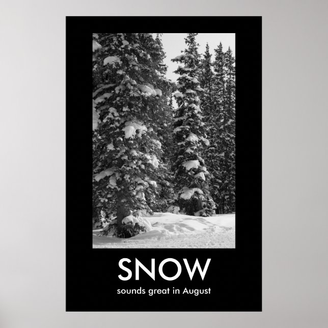 SNOW Demotivational Poster (Front)