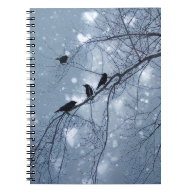 Snow Dream Spiral Notebook (Front)