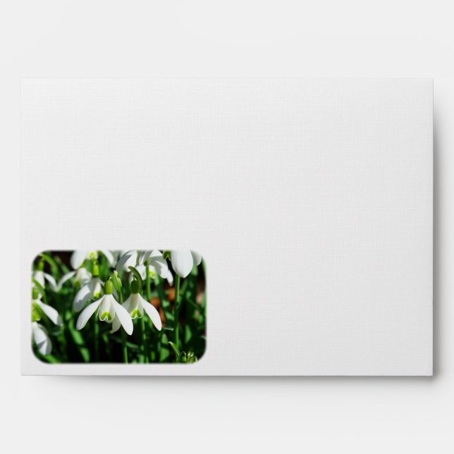 Snow Drops - Winter Blooming Bulb Flowers Envelope (Front)