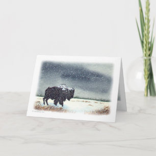 Snow Dusted Bison Watercolor Holiday Card