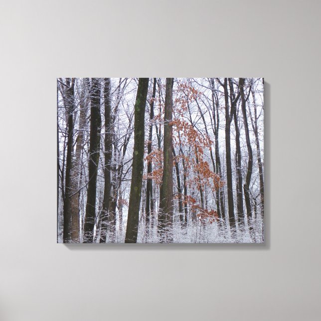 Snow Dusted Forest Winter Landscape Photography Canvas Print (Front)