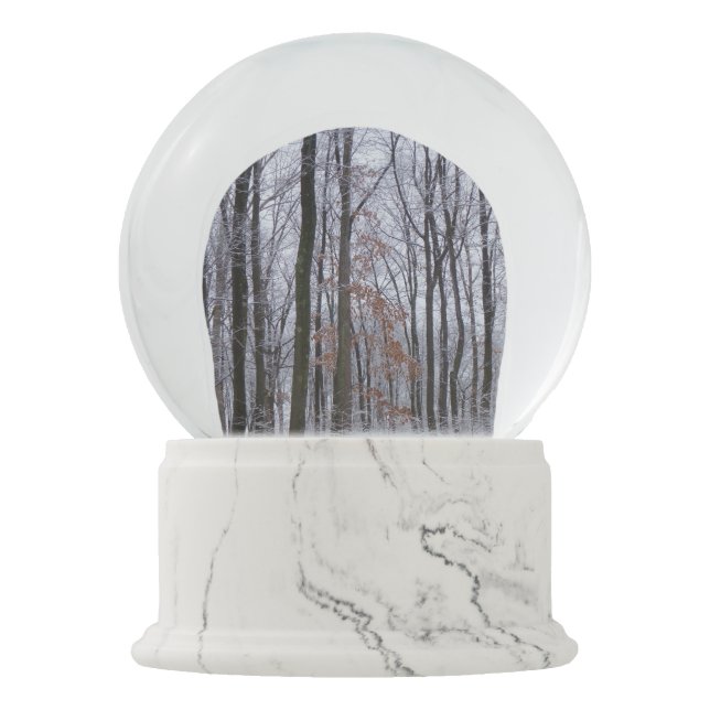 Snow Dusted Forest Winter Landscape Photography Globe (Front)