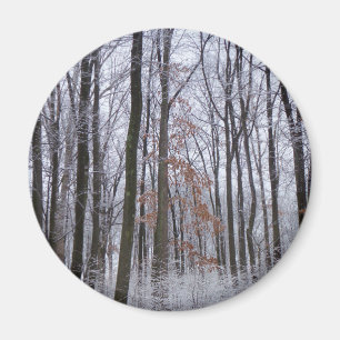 Snow Dusted Forest Winter Landscape Photography Magnet