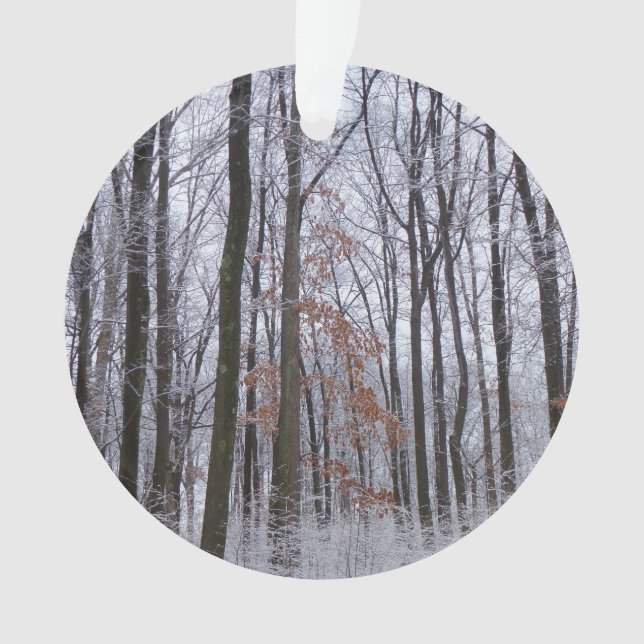 Snow Dusted Forest Winter Landscape Photography Ornament (Front)