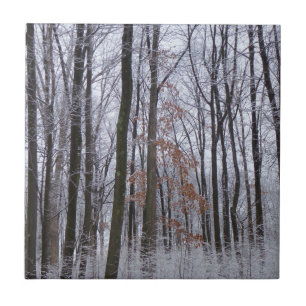 Snow Dusted Forest Winter Landscape Photography Tile