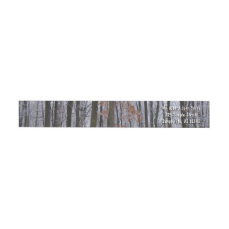 Snow Dusted Forest Winter Landscape Photography Wrap Around Label