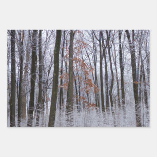 Snow Dusted Forest Winter Landscape Photography Wrapping Paper Sheet