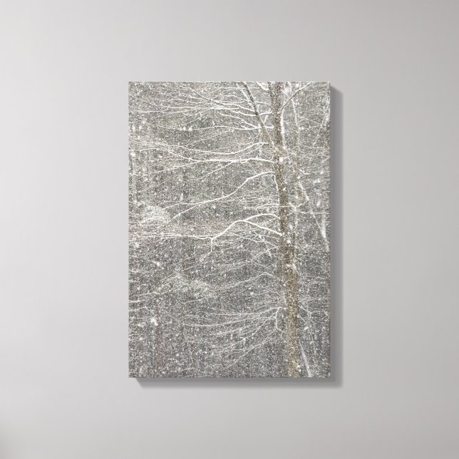 Snow Falling Canvas Print (Front)